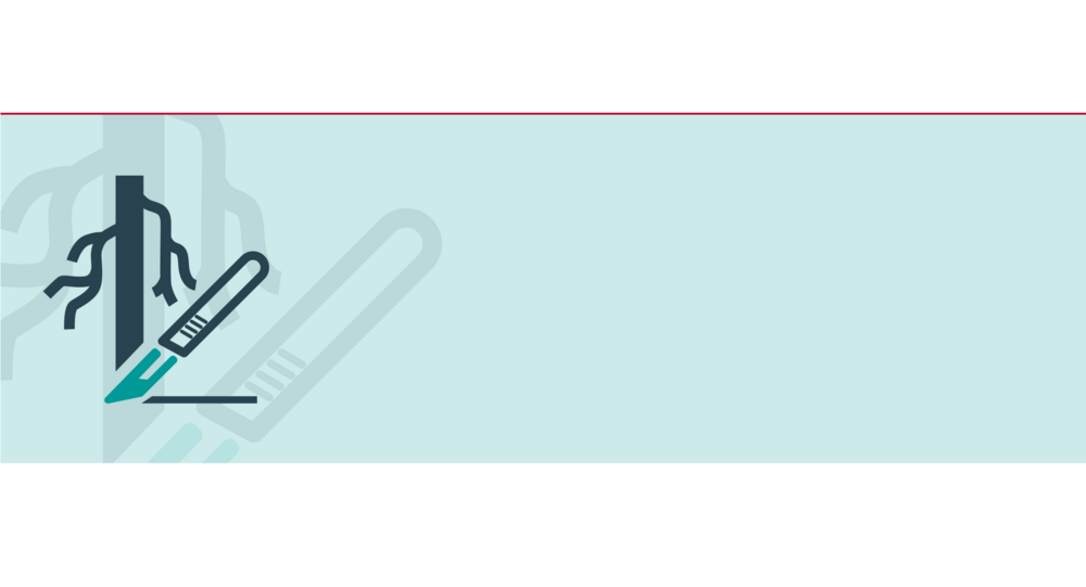 Bannergrafik "Venen"